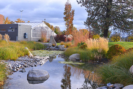 Pond view looking towards the greenhouse at SFCC.